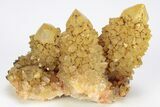 Sunshine Cactus Quartz Crystal Cluster - South Africa #212634-1